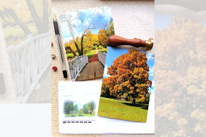 Акция «Поздравь музей с юбилеем». Музейный Postcrossing