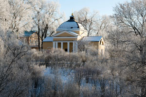 Декабрьские зарисовки. Фотодневник тарханской природы