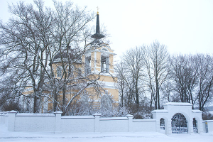 Февральское утро в «Тарханах»