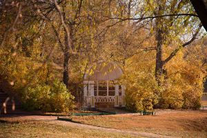 Важная информация для одиночных посетителей музея-заповедника «Тарханы»