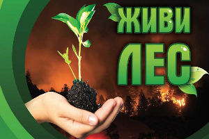 Музей «Тарханы» во Всероссийской акции «Живи, лес!»