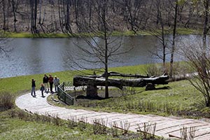 Работы по сохранению мемориального дуба в Тарханах