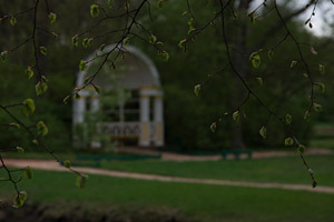 Майские дни в «Тарханах». Фотодневник. Часть 1 