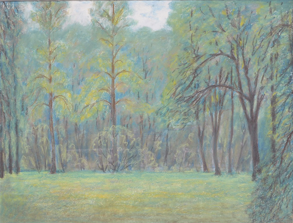 Полдень.2005