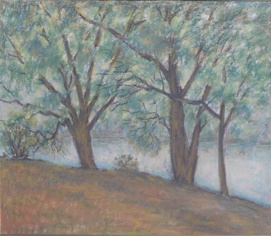 Старые ветлы. 2005