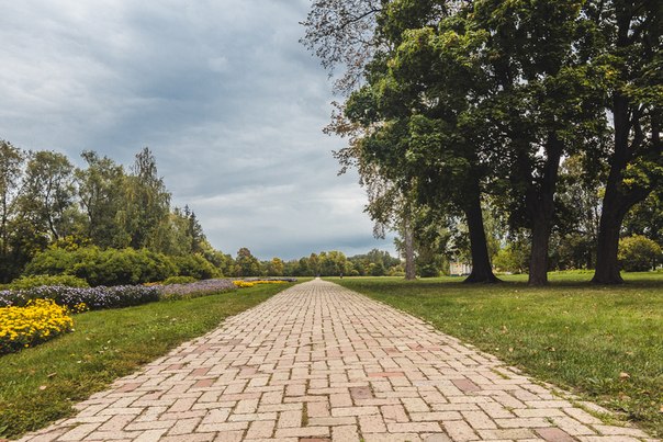 Первый комплекс