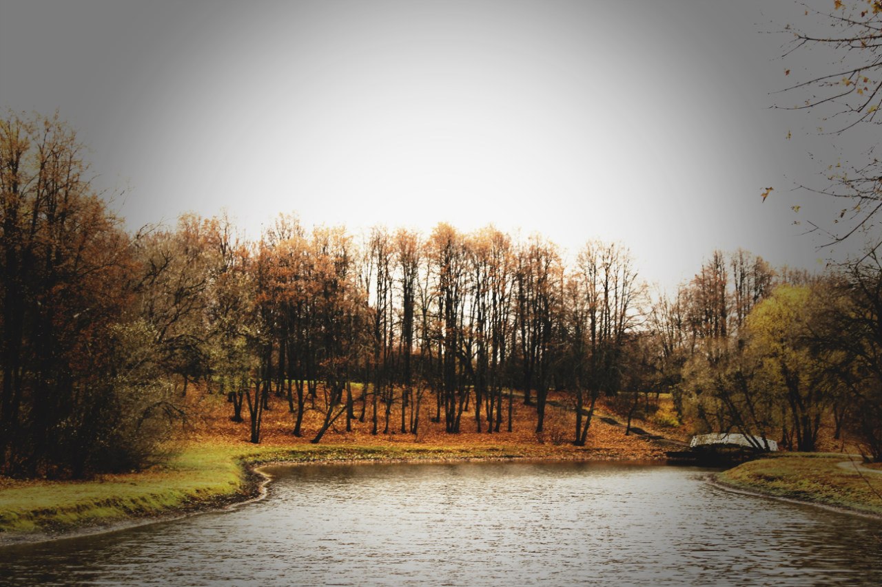 Октябрь 2014 года. Фотограф Светлана Леонова