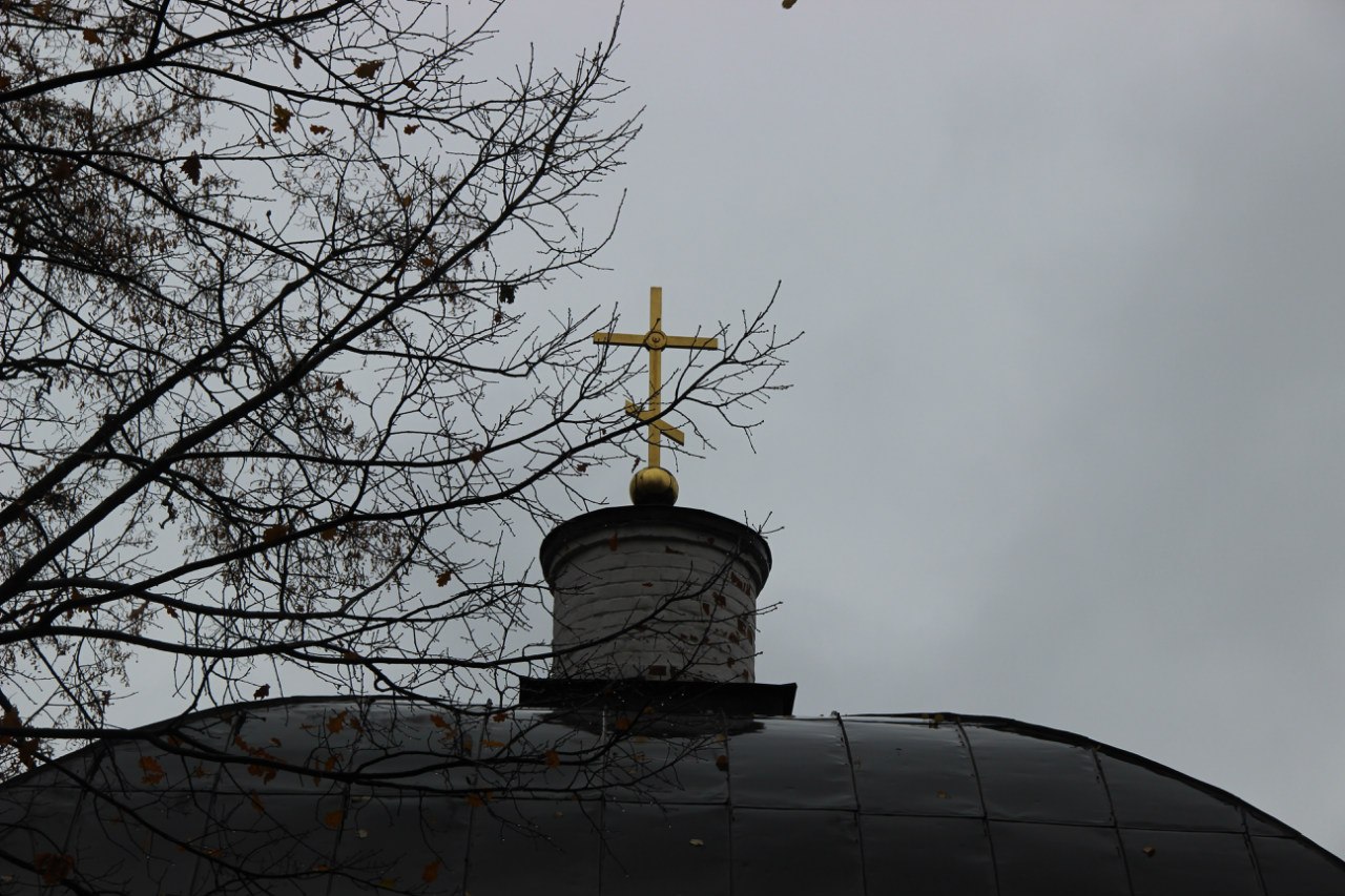 Октябрь 2014 года. Фотограф Светлана Леонова