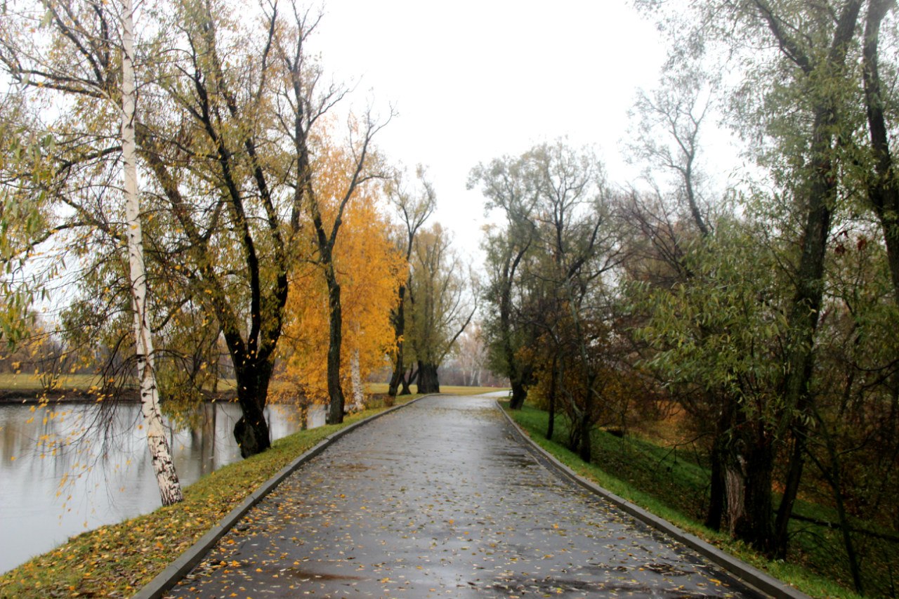 Октябрь 2014 года. Фотограф Светлана Леонова