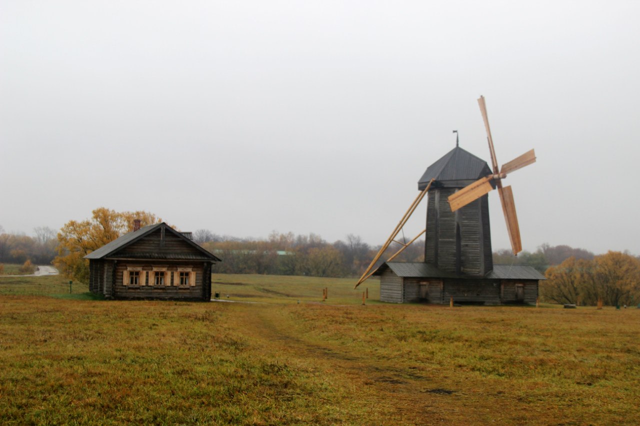 Октябрь 2014 года. Фотограф Светлана Леонова