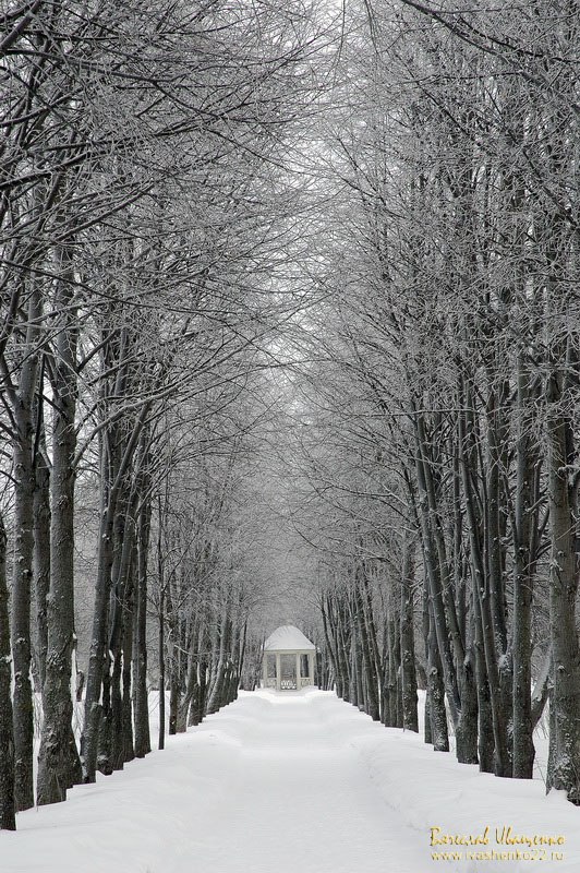 Фотография В.И. Иващенко