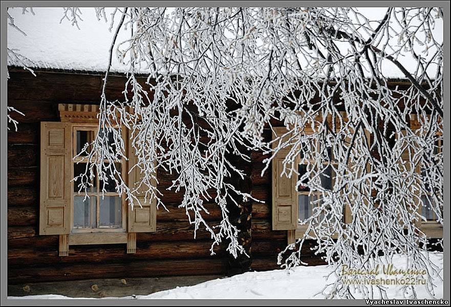 Фотография В.И. Иващенко