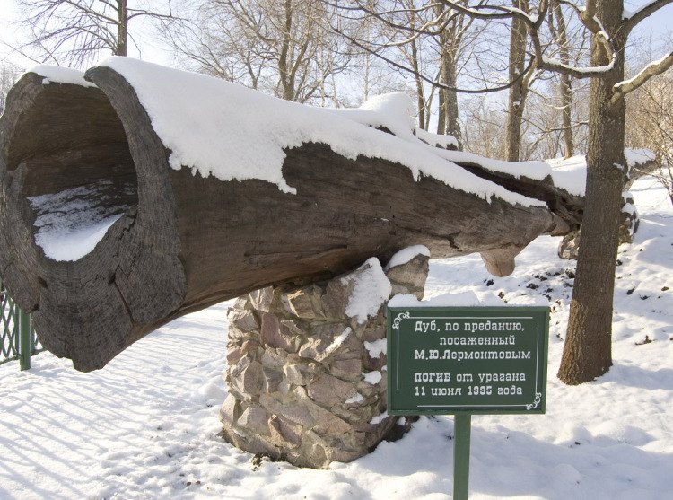 Фотограф Рашит А  http://gallery.ru/watch?a=eac-bN0u