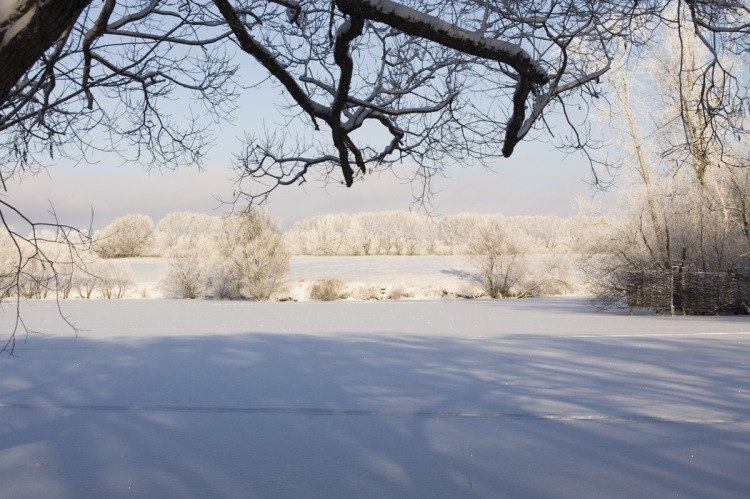 Фотограф Рашит А  http://gallery.ru/watch?a=eac-bN0u