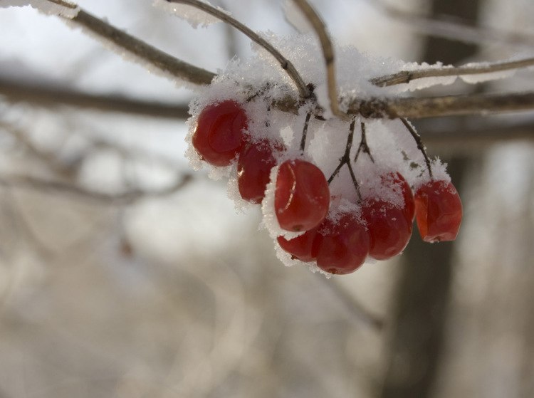 Фотограф Рашит А  http://gallery.ru/watch?a=eac-bN0u