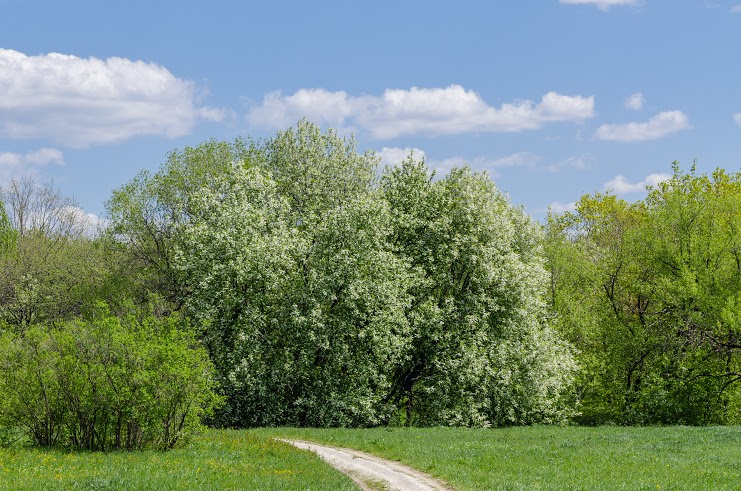 Фотограф Андрей Грудкин. Май 2014 г.