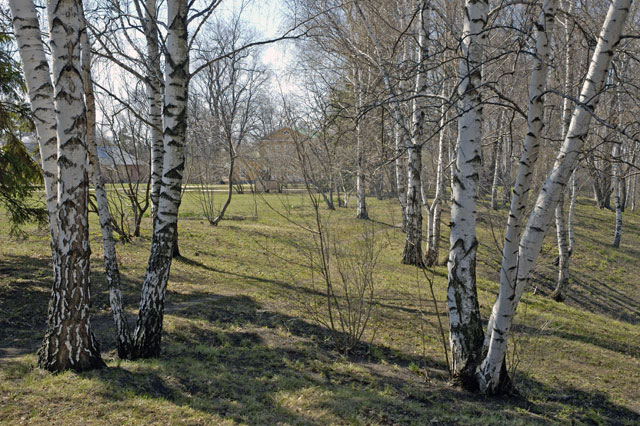 Весна в "Тарханах"
