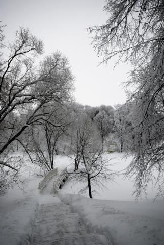 Дорожка из Круглого сада