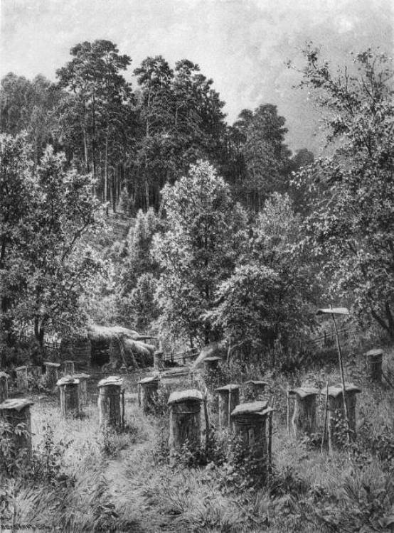 Шишкин И.И. Пасека. 1884