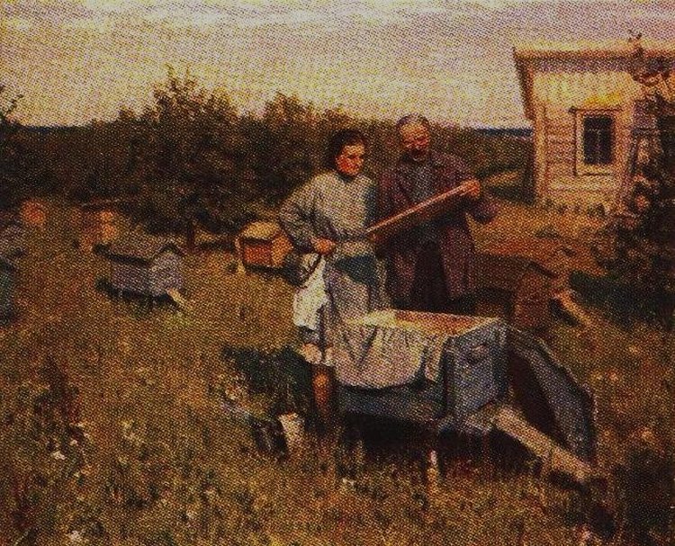 Хаимов Я.М. Колхозное пчеловодство