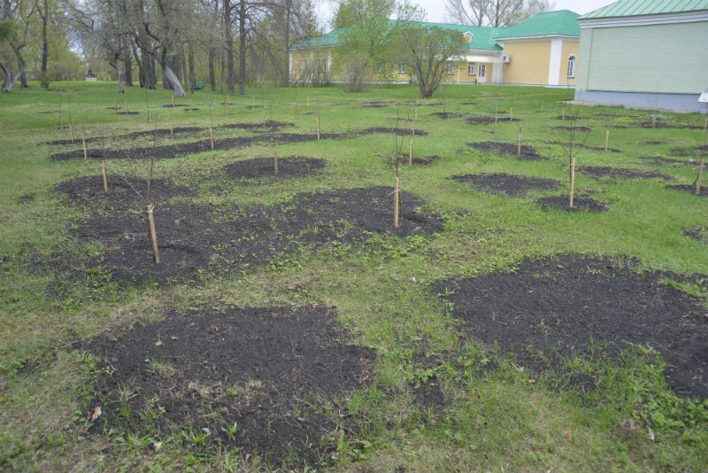 обновленный_вишенник_тарханы.jpg