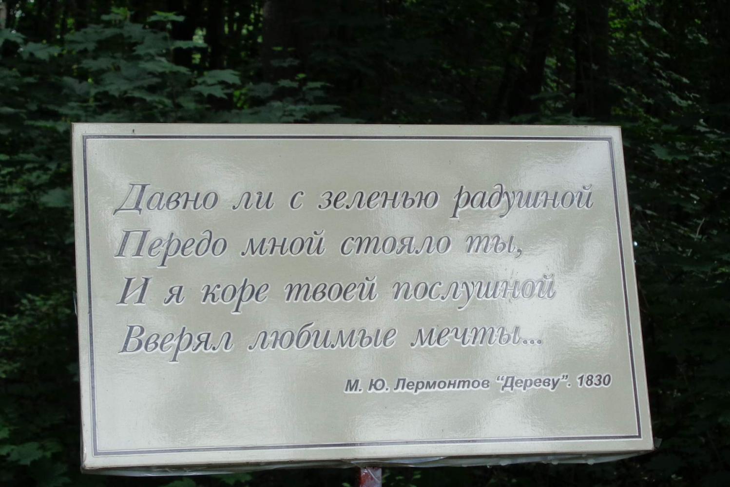V Лермонтовские чтения в Становлянском районе Липецкой области