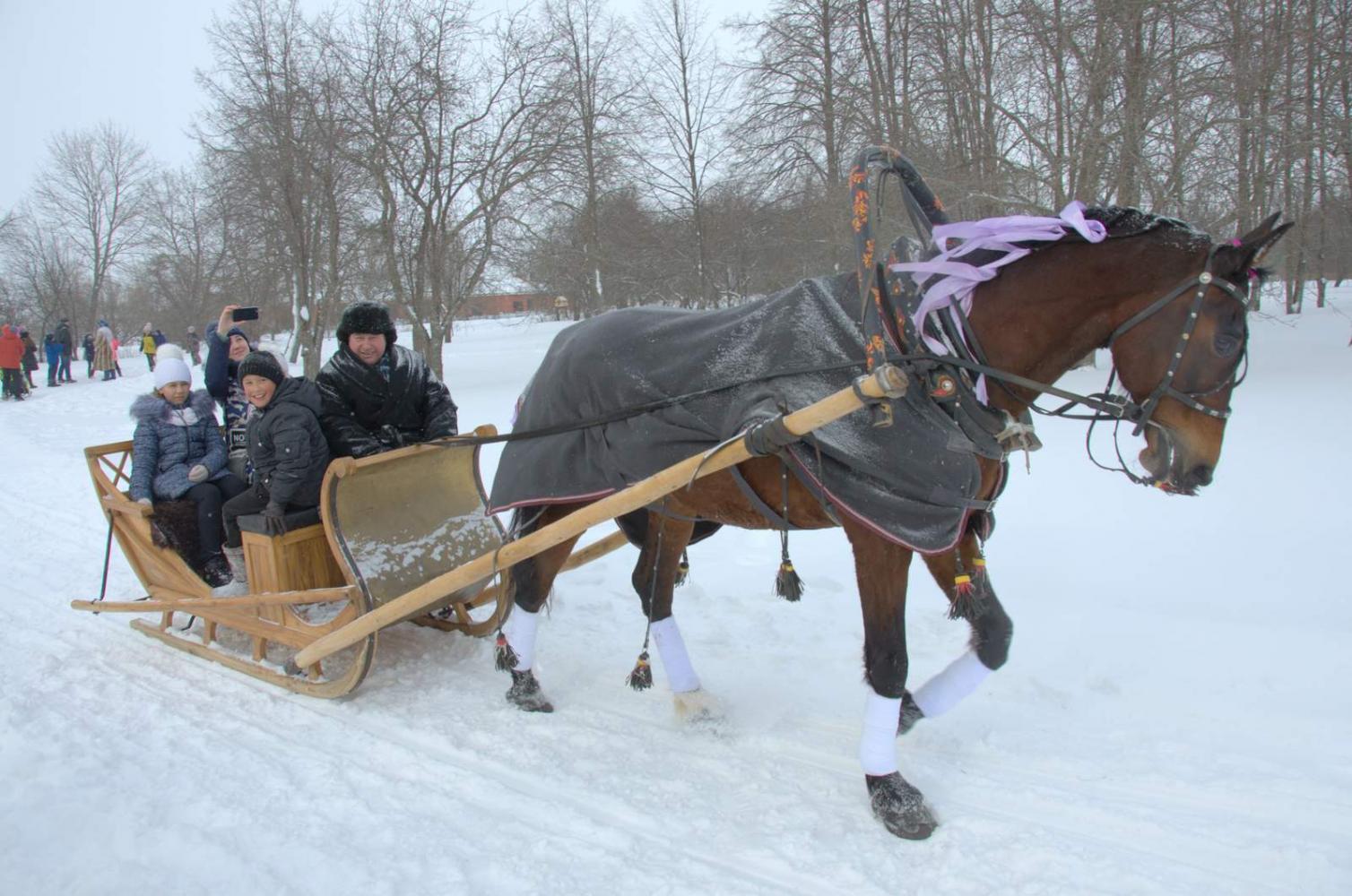 Широкая Масленица в «Тарханах». 18.2.2018 года. Фото В.А. Курносова