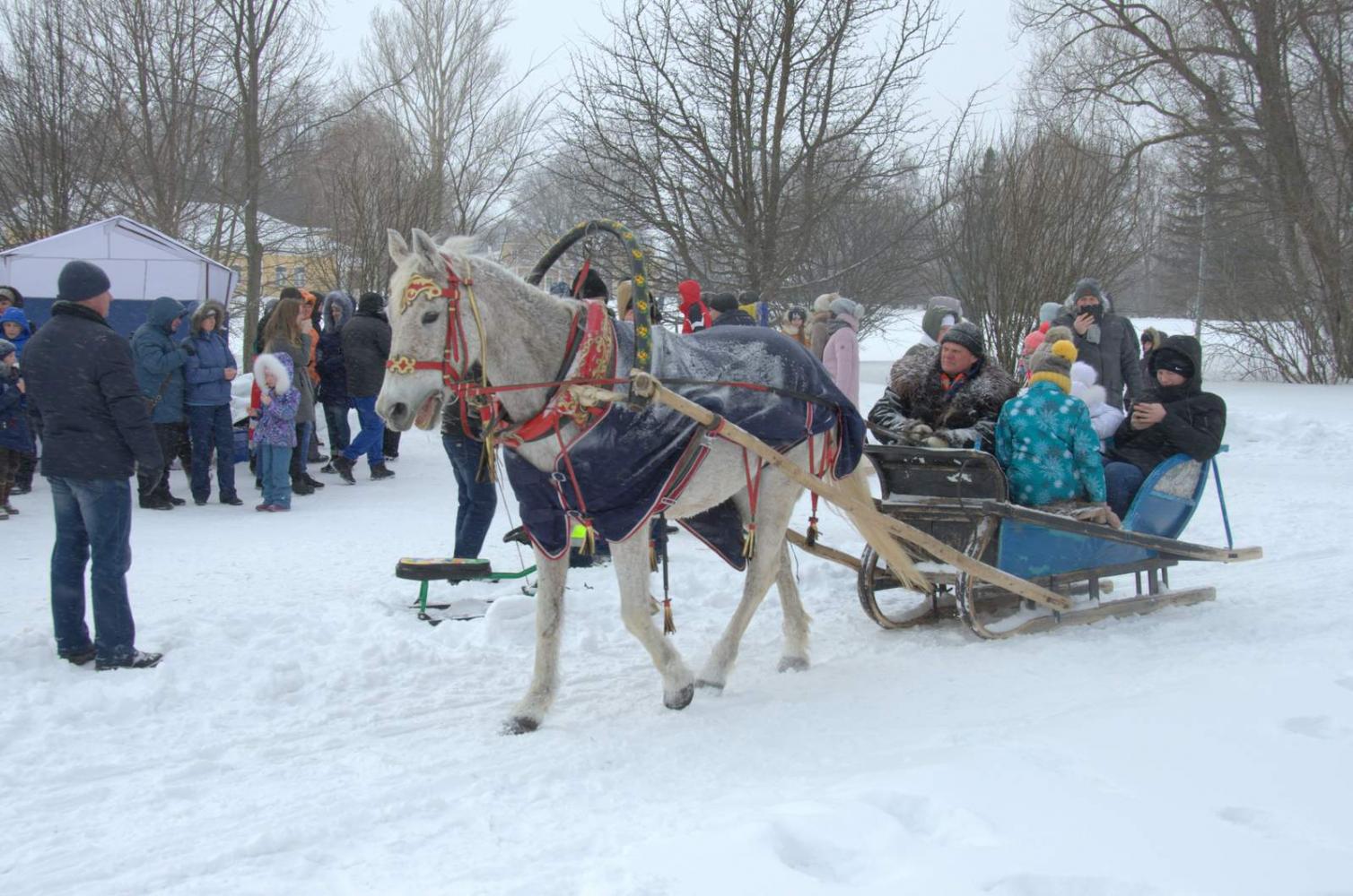 Широкая Масленица в «Тарханах». 18.2.2018 года. Фото В.А. Курносова