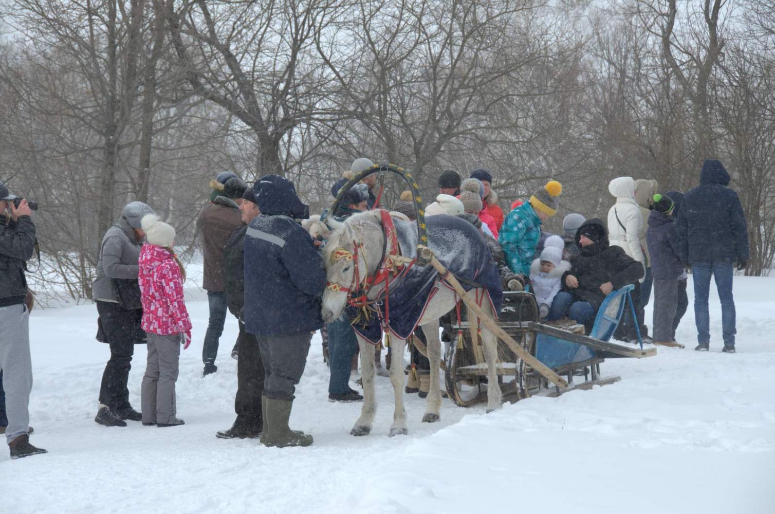 Широкая Масленица в «Тарханах». 18.2.2018 года. Фото В.А. Курносова